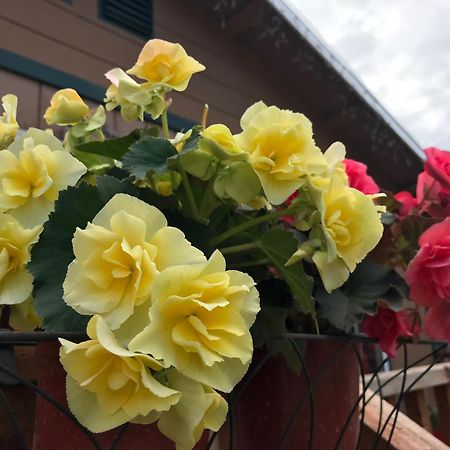 A Hyde Away Inn B&B Ток Экстерьер фото
